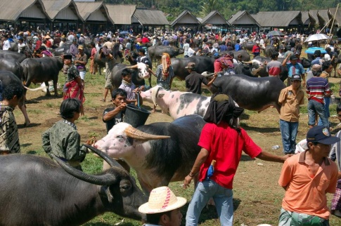 Toraja - life market 1