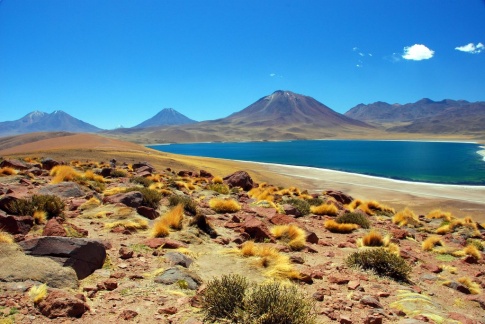 Chile - Atacam lakes 3