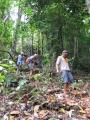 PNG - through jungle
