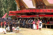 Toraja - funeral