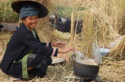 Laos - rice harversting 9