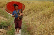 Laos - on the way to village 2