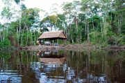 The Amazon - Pacaya Samiria 6